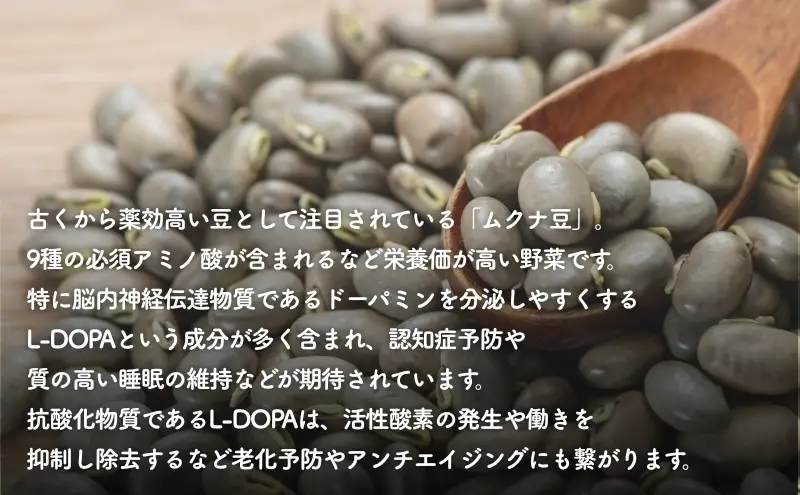 野生の目覚め～焙煎ムクナ豆パウダー～