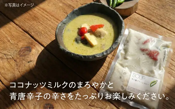 【全12回定期便】グリーンカレー 約180g×5パック 計900ｇセット 【SOUP LAB】[AYAK016]