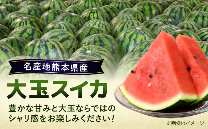 熊本県産 大玉 スイカ (2玉) 計約10〜12kg M、L階級　西瓜 すいか 春のだんらん【菊池地域農業協同組合】[AYBR008]