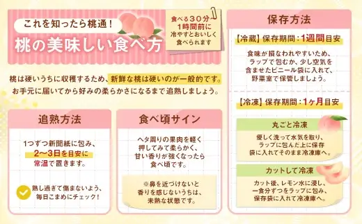 【 3回定期便 】3種の桃が楽しめる！計約3kg 【2026年6月下旬～7月下旬発送予定】 桃 定期便 3回  日川鳳凰 あかつき なつっこ 食べ比べ