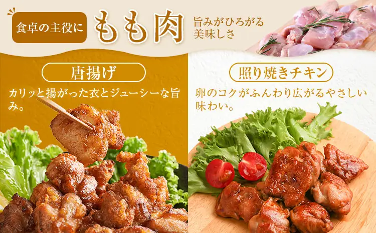 鹿児島県産 鶏肉 もも肉 250g × 8パック 計2kg 《7-14日以内に出荷予定(土日祝除く)》鹿児島県 さつま町 鶏 鳥 もも 肉