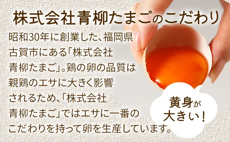 卵  青柳たまご 30個  卵 