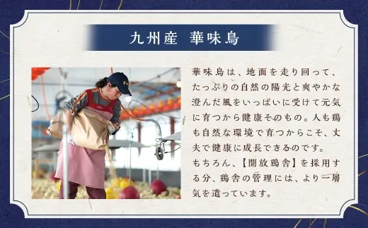 博多華味鳥の水たきセット ちゃんぽん麺付き （ 3～4人前 ） 鶏肉 ぽん酢 つくね キャベツ 雑炊 薬味 鍋 お鍋 冷凍 出汁 ちゃんぽん 鍋料理 スープ 水炊き ちゃんぽん麺 麺