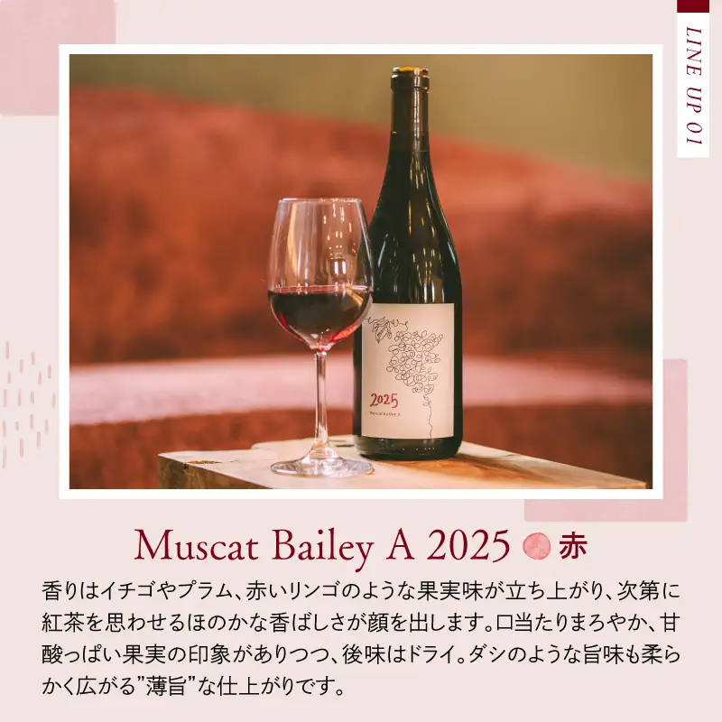 ワイン 2025 赤白 2本飲み比べセット 750ml 各1本 ワイン