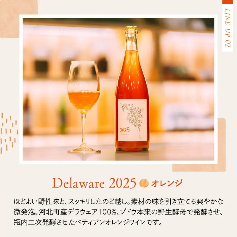 ワイン 2025 オレンジ白 2本飲み比べセット 各750ml ワイン