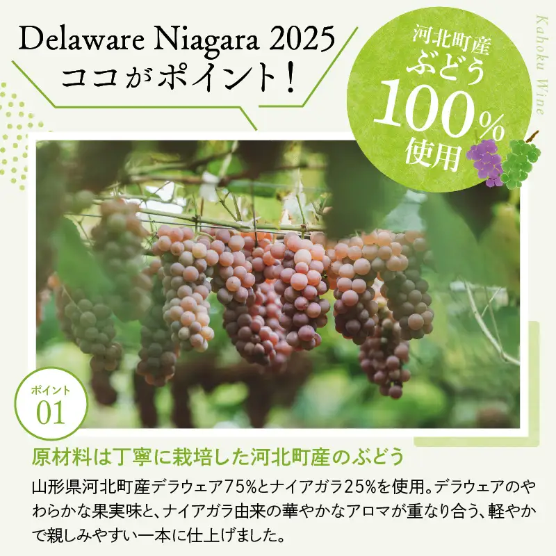 ワイン デラウェア ニアガラ 2025 750ml 河北町産 ワイン