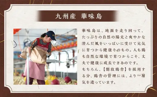 博多華味鳥もつ鍋セット （ 3～4人前 ） 牛小腸 鶏ハラミ キャベツ 麺 鍋 お鍋 冷凍 出汁 ちゃんぽん 鍋料理 ちゃんぽん麺 モツ鍋 もつ鍋 スープ 雑炊 鶏肉 ぽん酢 つくね
