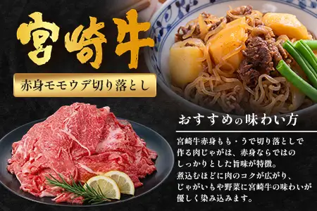 宮崎牛 赤身モモウデ切り落とし セット 計800g（約400g×2P）冷凍｜国産 牛肉 お肉 赤身 モモ ウデ 切り落とし スライス ブランド牛 高級 株式会社エムファーム 宮崎県 諸塚村 MF-06