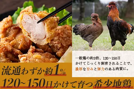 みやざき地頭鶏 カットモモ肉 250g×4P 冷凍｜鶏肉 地鶏 モモ肉 カット肉 唐揚げ 焼き鳥 チキン南蛮 じとっこ 真空パック 興洋開発株式会社 宮崎県 諸塚村 KY-04