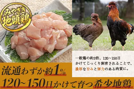 みやざき地頭鶏 オスメス食べ比べ ムネ肉 セット 冷凍｜鶏肉 地鶏 ムネ肉 カット肉 唐揚げ 焼き鳥 チキン南蛮 じとっこ 真空パック 興洋開発株式会社 宮崎県 諸塚村 KY-07