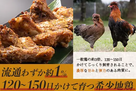 みやざき地頭鶏 大手羽 500g×4P セット 冷凍｜鶏肉 地鶏 手羽元 手羽先 精肉 出汁 鍋 チキン じとっこ 真空パック 興洋開発株式会社 宮崎県 諸塚村 KY-09