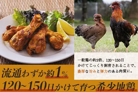 みやざき地頭鶏 手羽元 500g×4P セット 冷凍｜鶏肉 地鶏 手羽元 精肉 焼き鳥 煮物 鍋 チキン じとっこ 真空パック 興洋開発株式会社 宮崎県 諸塚村 KY-11