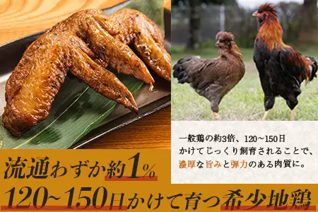 みやざき地頭鶏 手羽先 500g×3P セット 冷凍｜鶏肉 地鶏 手羽先 精肉 焼き鳥 煮物 鍋 チキン じとっこ 真空パック 興洋開発株式会社 宮崎県 諸塚村 KY-12