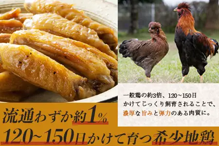 みやざき地頭鶏 手羽中ハーフ 350g×4P セット 冷凍｜鶏肉 地鶏 手羽中 精肉 焼き鳥 チキン じとっこ 真空パック 興洋開発株式会社 宮崎県 諸塚村 KY-13