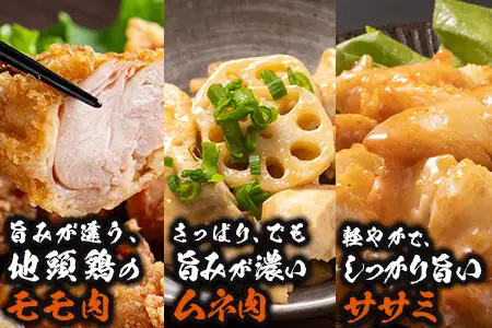 みやざき地頭鶏 5部位 食べ比べ セット 約1.4kg（各280g×5部位） 冷凍｜鶏肉 地鶏 モモ ムネ ササミ 皮 大手羽 精肉 焼き鳥 煮物 鍋 チキン じとっこ 真空パック 興洋開発株式会社 宮崎県 諸塚村 KY-14