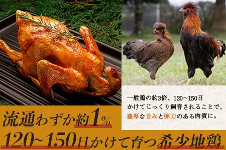 みやざき地頭鶏 1羽 中抜き 丸鶏 セット 冷凍｜鶏肉 地鶏 丸鶏 1羽まるごと ロースト チキン じとっこ 真空パック 興洋開発株式会社 宮崎県 諸塚村 KY-16