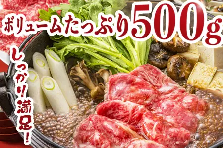 宮崎県産 黒毛和牛 贅沢セット ミンチ肉 万能切り落とし 約1.1kg セット 冷凍｜国産牛 牛肉 お肉 ひき肉 ミンチ 切り落とし スライス パック 化粧箱入り ハンバーグ コロッケ ミートソース 焼肉 有田牧畜産業 宮崎県 諸塚村 AR-03