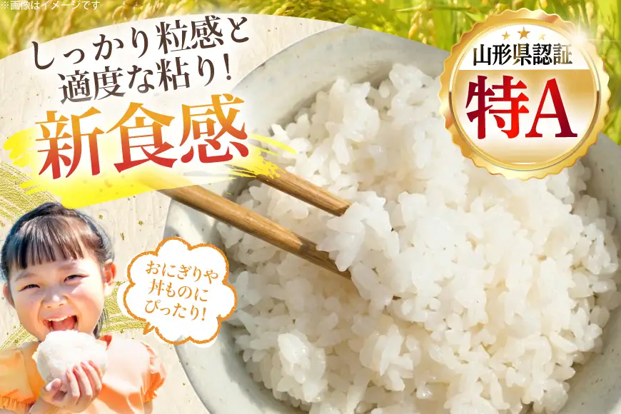 【期間限定発送】 米 令和7年産 慣行栽培 雪若丸 5kg [金子農園 山形県 高畠町 tk06ays950061]