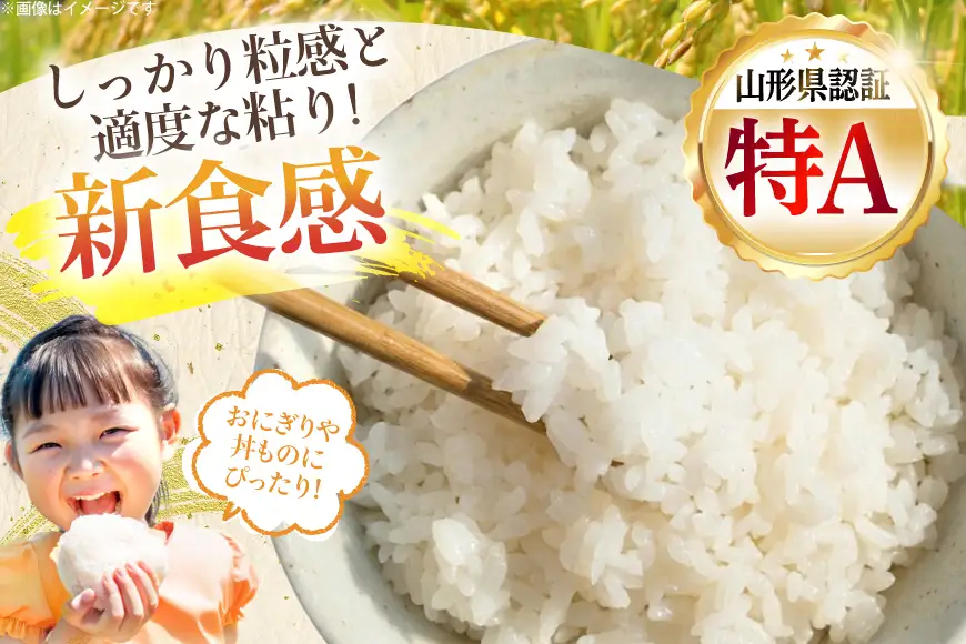 【期間限定発送】 米 令和7年産 慣行栽培 雪若丸 10kg [金子農園 山形県 高畠町 tk06ays950060]