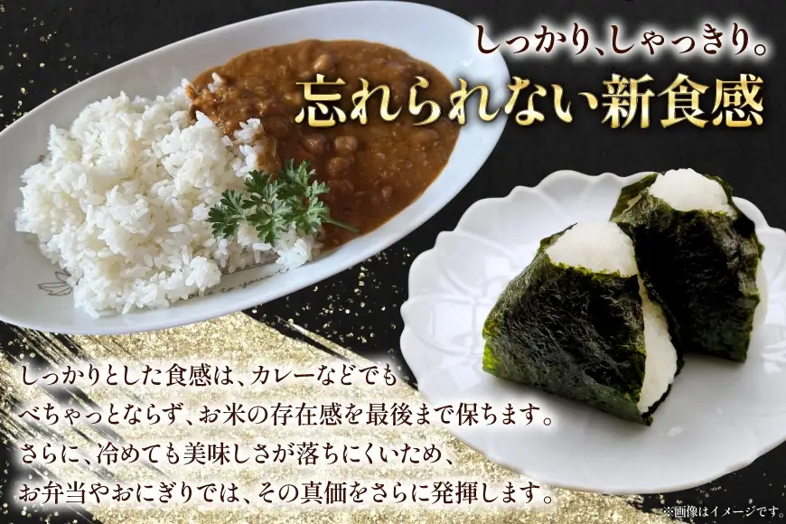 米 定期便 3回 令和8年産  雪若丸 5kg [本田勇仁 山形県 高畠町 tk06bgj910002]