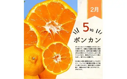 【発送月固定定期便】紀州和歌山産旬のフルーツセット(いちご4P・ポンカン・紀州デコ約5kg)全3回 【tkb450】