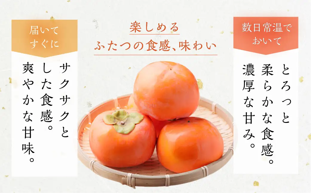 [先行予約] 令和8年産 【訳あり】富有柿 L～2L サイズ 約5kg 加藤果樹園 [mt1692] ｜家庭用 ご自宅用 わけあり ワケアリ かき 富有柿 ふゆうがき フルーツ カキ 果物 くだもの 岐阜県 本巣市