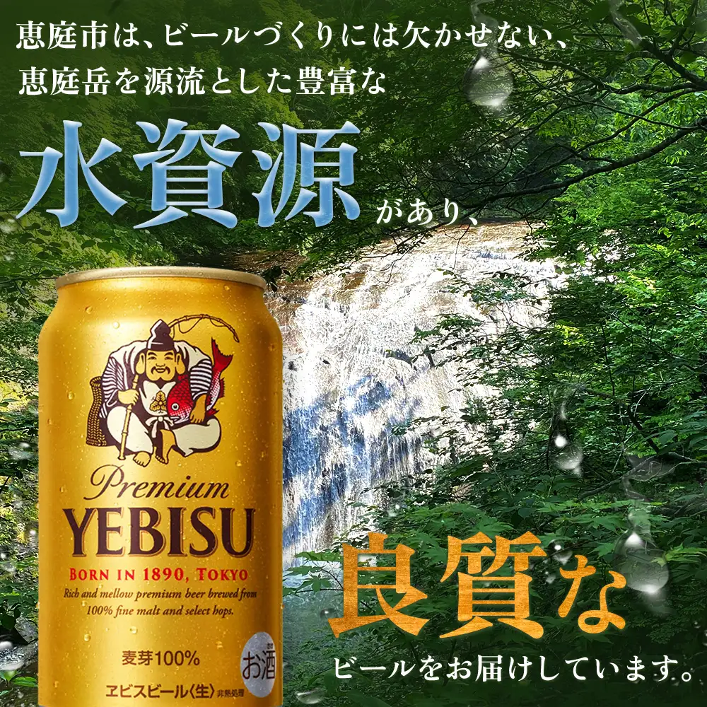 【定期便：全2回】サッポロヱビスビール 350ml×24本【880060021902】