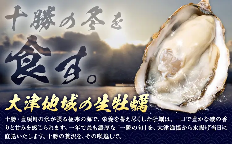 【生食可】生牡蠣 20個 北海道 大津産 かき カキ