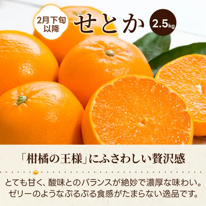 【数量限定☆先行受付】柑橘食べ比べ定期便（石地みかん・せとか） 各2.5kg フルーツ 果物 みかん オレンジ 産地直送 ジューシー 人気 濃厚 T10