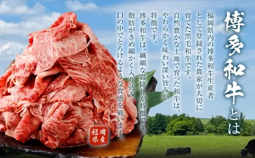 特選赤身切り落とし 2kg （ 500g × 4 ） お肉 肉 にく ニク 牛肉 牛 博多牛 国産 福岡県産 特選 赤身 切り落とし