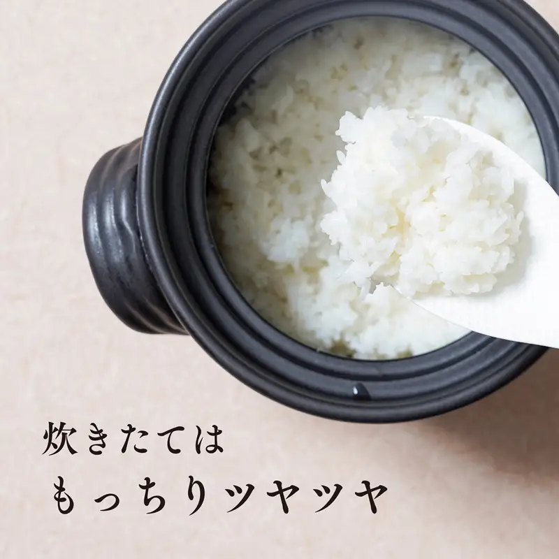 《令和8年度産 先行予約》【数量・期間限定】 井野農園のコシヒカリ お米 ご飯 ごはん おにぎり 