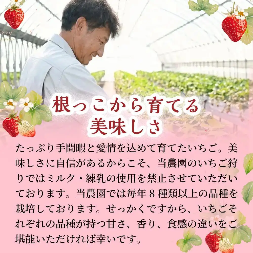 【甘さと爽やかさの贅沢セット】いちごミルクアイス＆いちごシャーベット 各15個 計30個 いちご イチゴ アイス シャーベット 果物 フルーツ 大粒 濃厚 産地直送 詰め合わせ ギフト 贈答用 兵庫県 福崎町