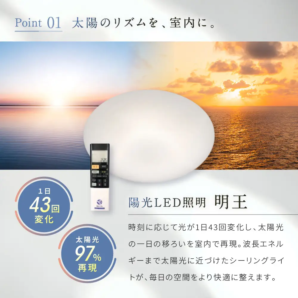 陽光LED照明　明王 心身の様々な不調を改善し健康になる照明