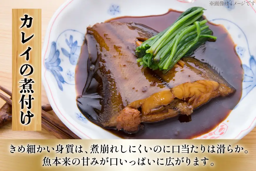 カレイ 能登の赤カレイ 5尾 (1尾200～300g) 計1kg程度 [小川水産 石川県 志賀町 sk17bdm840009]