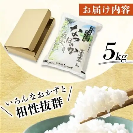お米 鹿児島県産なつほのか5kg【1730620】