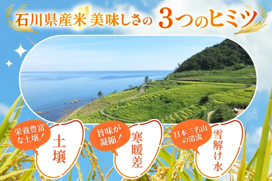 米 定期便 ひゃくまん穀 5kg × 3回 総計15kg [中橋商事株式会社 石川県 宝達志水町 38601379]