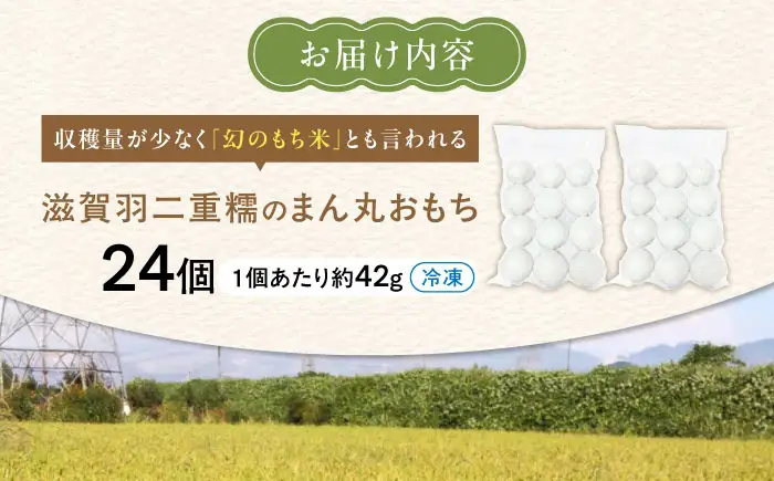 滋賀羽二重糯のまん丸おもち 24個[AQEC002]もち