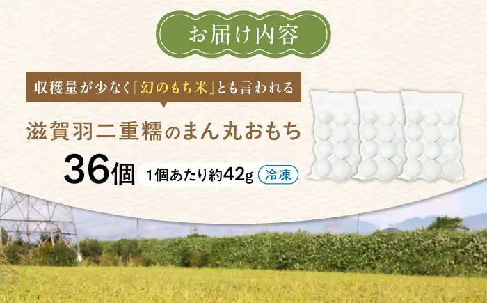 滋賀羽二重糯のまん丸おもち 36個[AQEC003]もち