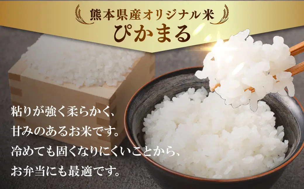 【令和7年産】 熊本県産ぴかまる 5kg×2袋 【2026年8月下旬迄順次発送予定】 お米 粘り 甘み 弁当 米 こめ コメ ご飯 白米 白飯 国産 熊本県産 料理