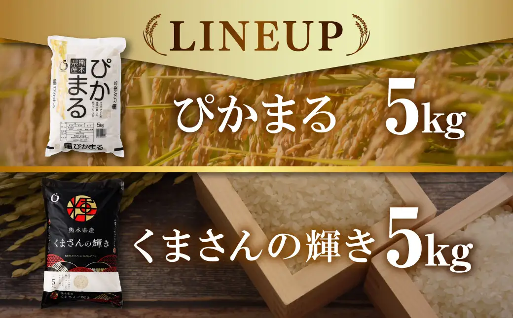 【令和7年産】 熊本県産お米食べ比べセット （ ぴかまる5kg ・ くまさんの輝き5kg各1袋ずつお届け ） 5kg×2袋 【2026年8月下旬迄順次発送予定】 お米 食べ比べ 粘り 食感 米 こめ コメ ご飯 白米 白飯 国産 熊本県産 料理