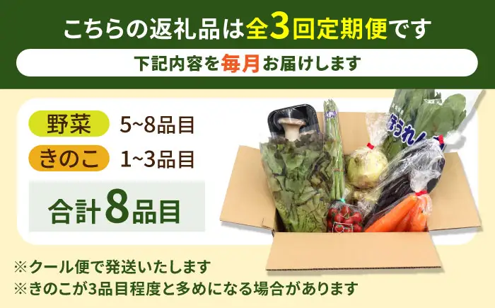 【3回定期便】野菜 定期便 8品目 [SCZ028]