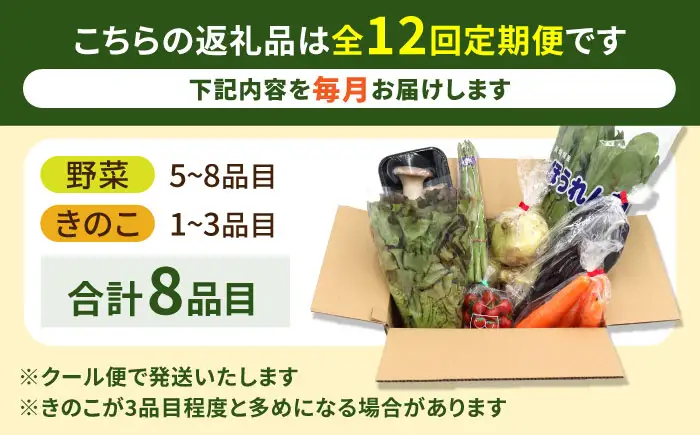【12回定期便】野菜定期便 8品目 [SCZ030]
