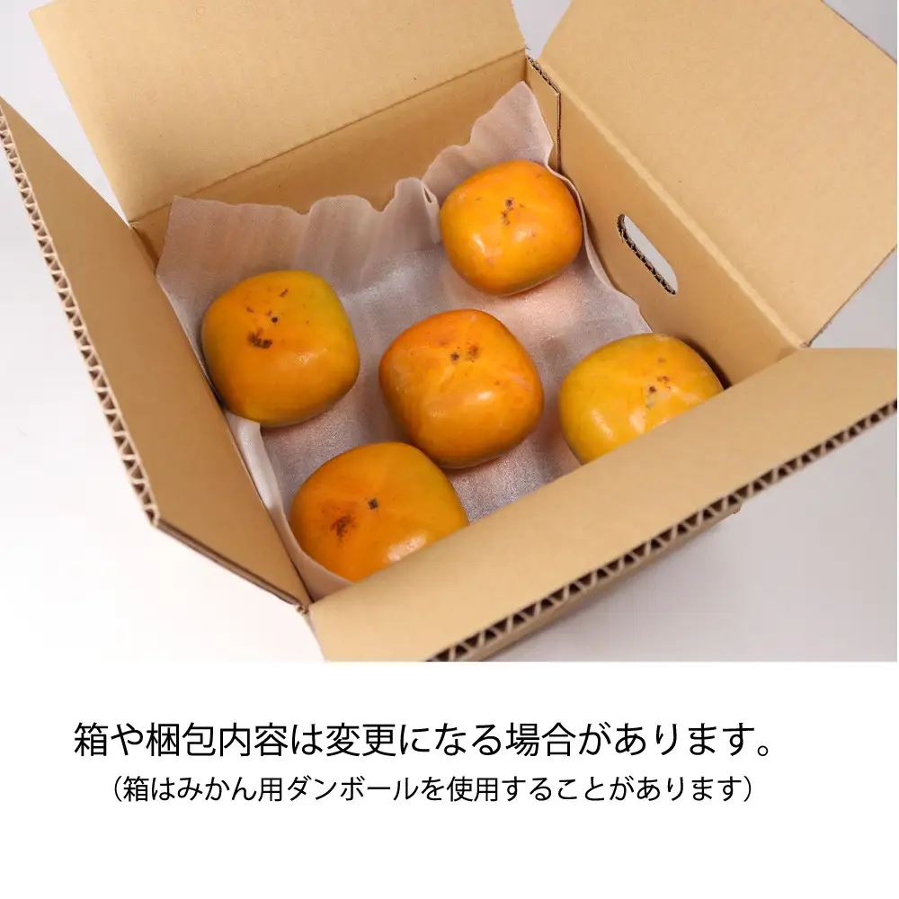 ［先行予約］家庭用 たねなし柿 約2.5kg［訳あり］［刀根早生・平核無柿（ひらたねなしかき）］［カキ・種無柿・種無し柿・種なし柿・無核柿］［IKE318］