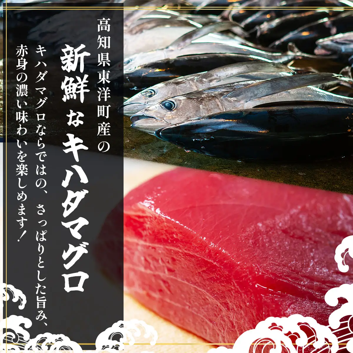 まぐろ漬け 1kg