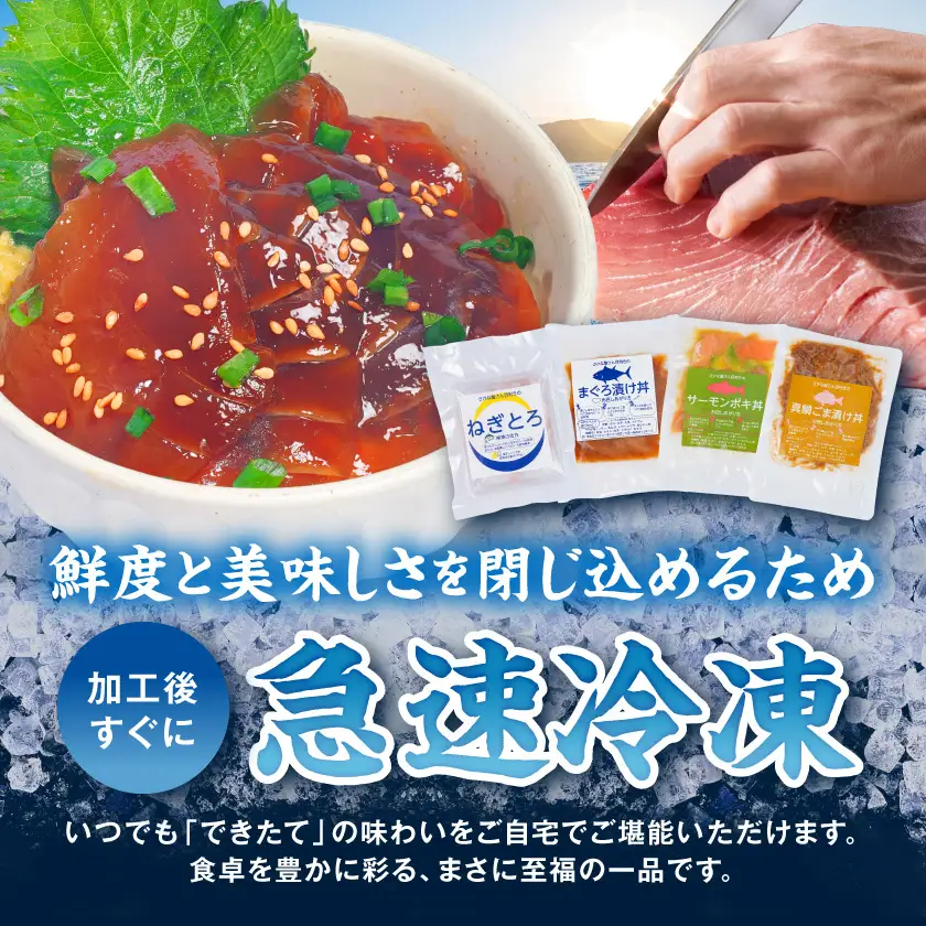 彩り豊かな海鮮丼食べ比べ8食セット〔16-M3-001-8〕_(都城市) ねぎとろ まぐろ漬け丼 真鯛ごま漬け丼 サーモンポキ丼 海鮮丼 食べ比べ