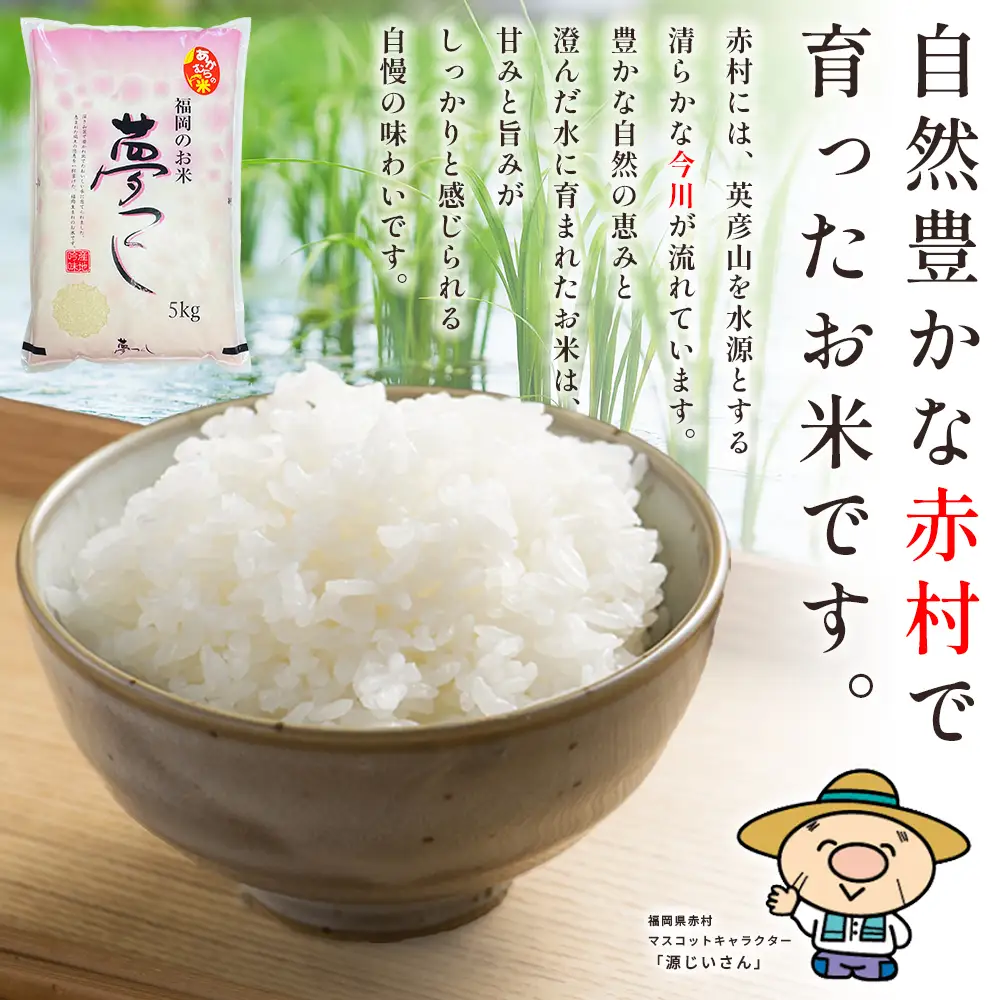 【10営業日以内に発送】赤村産米 農家直送 【数量限定】 精米 夢つくし 10kg 4U1-S1