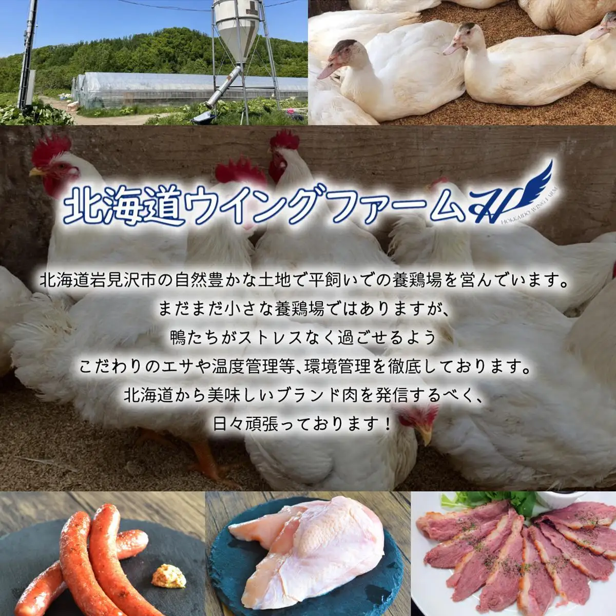 北海道岩見沢産 銘柄鶏 美流鶏ムネ肉 2kg 【a138-013】