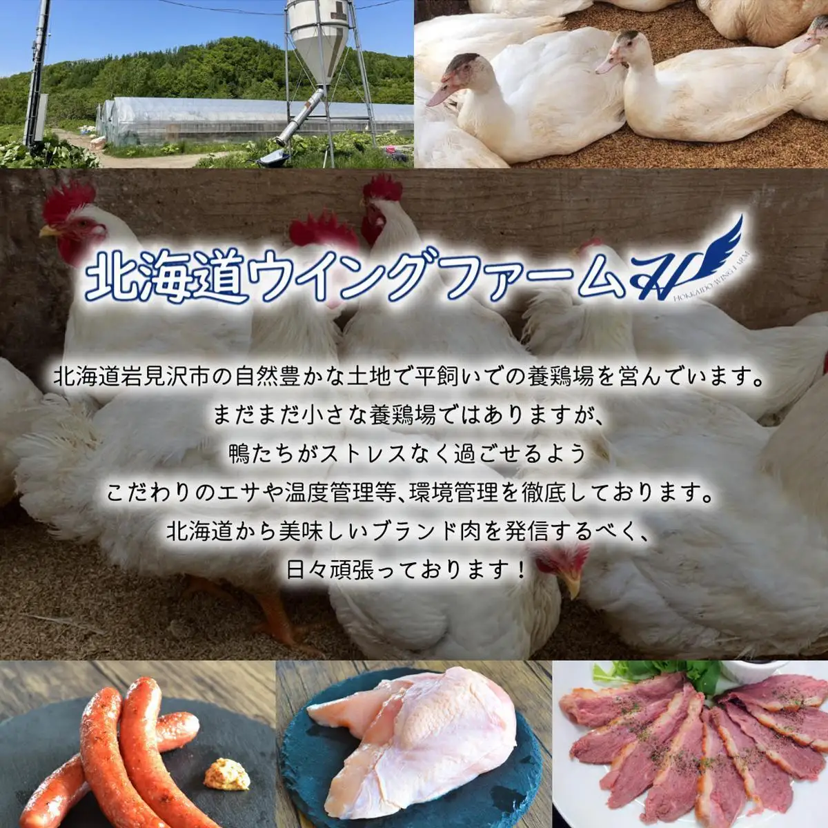 北海道岩見沢産 銘柄鶏 美流鶏ササミ 2kg 【a138-014】