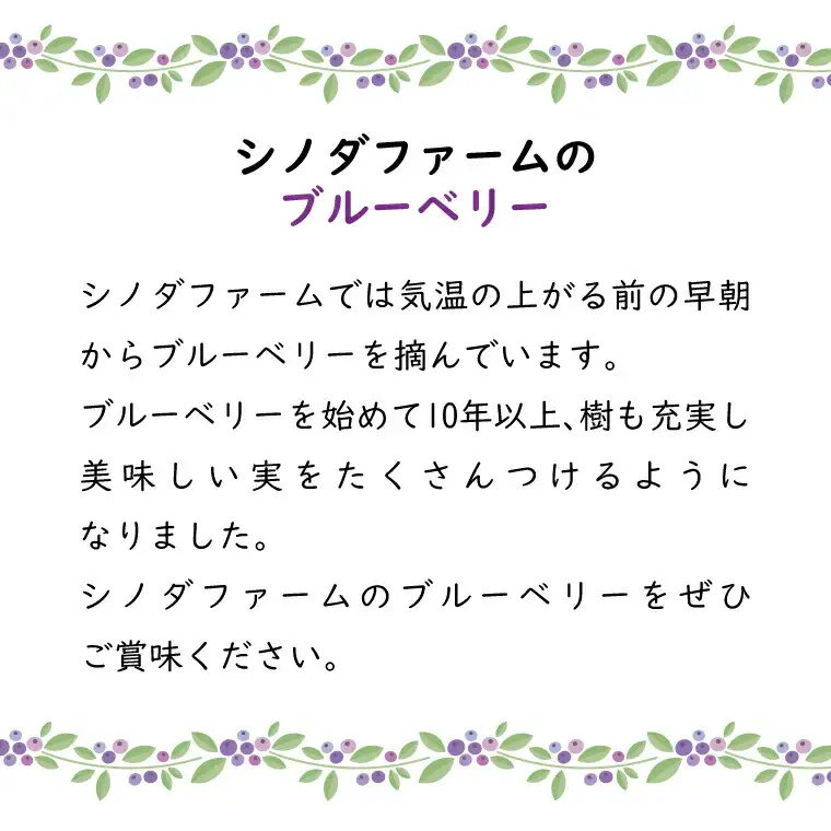 ブルーベリー