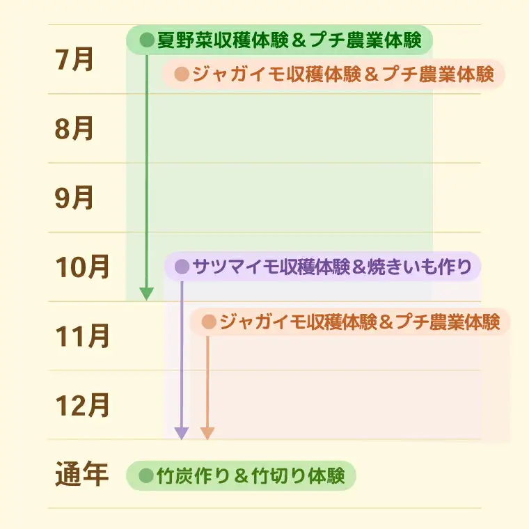 農産物収穫体験（1組5名まで） 〈 旬の野菜の収穫体験 食育 収穫体験 農業体験 体験 収穫 野菜 子供 親子 レジャー 観光 農作物 ふるさと納税 柏 〉
